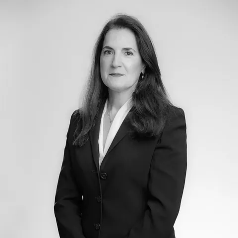 Asesor en Finanzas Corporativas